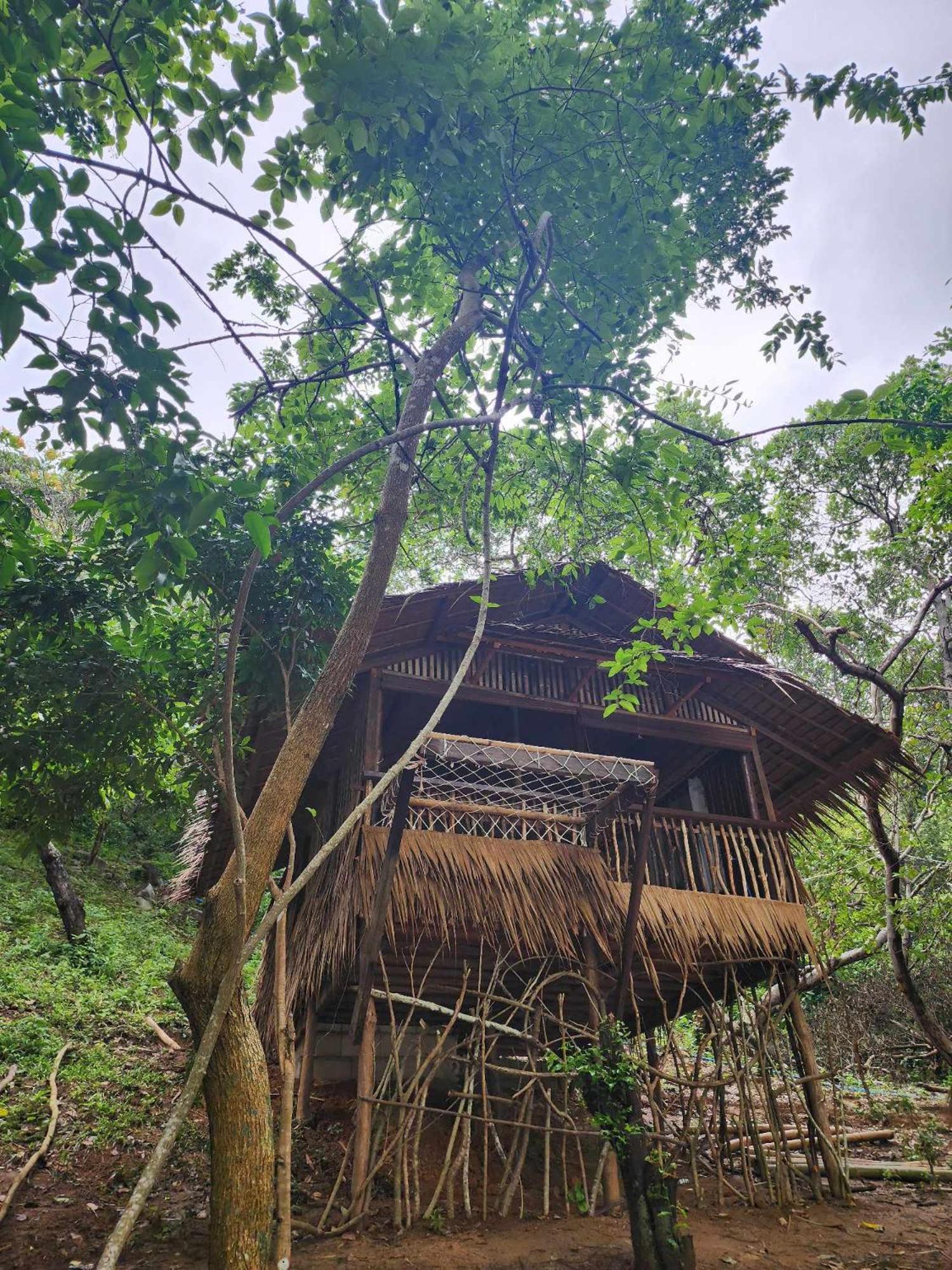 Bice Camp Darocotan Hotel El Nido Luaran gambar
